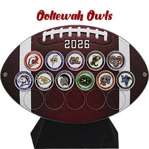 Division 1, Class 5A - Image 2