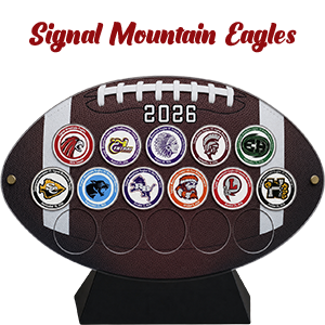 Division 1, Class 4A - Image 2