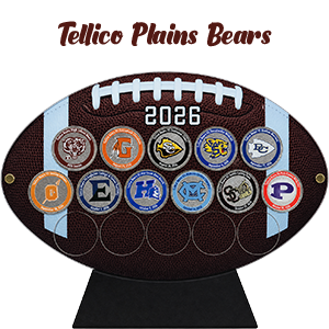 Division 1, Class 2A - Image 2